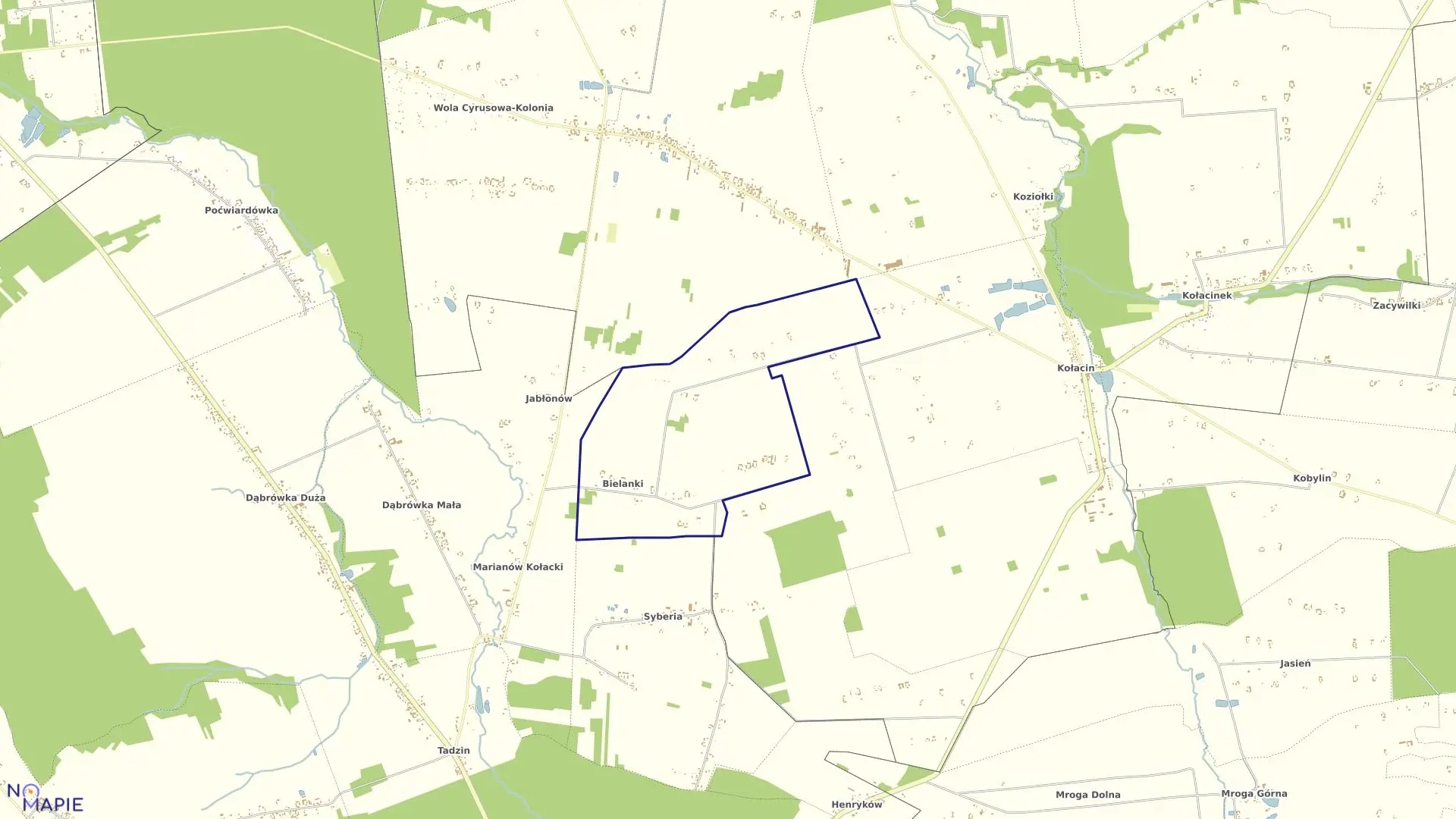 Mapa obrębu BIELANKI w gminie Brzeziny