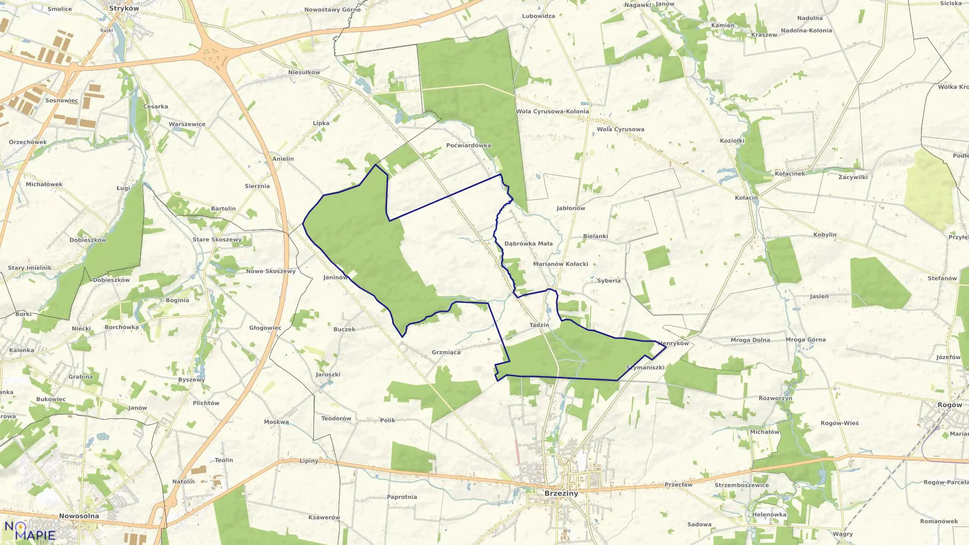 Mapa obrębu DĄBRÓWKA DUŻA w gminie Brzeziny